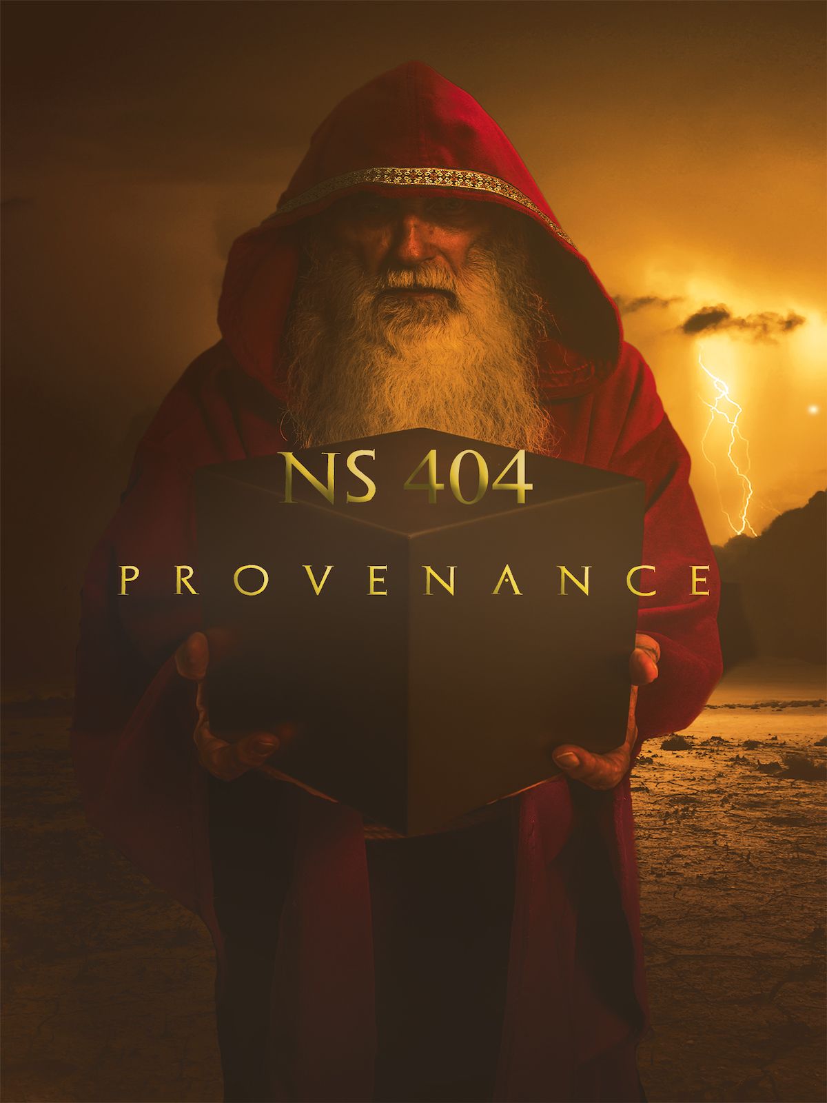NS404 (Provenance)