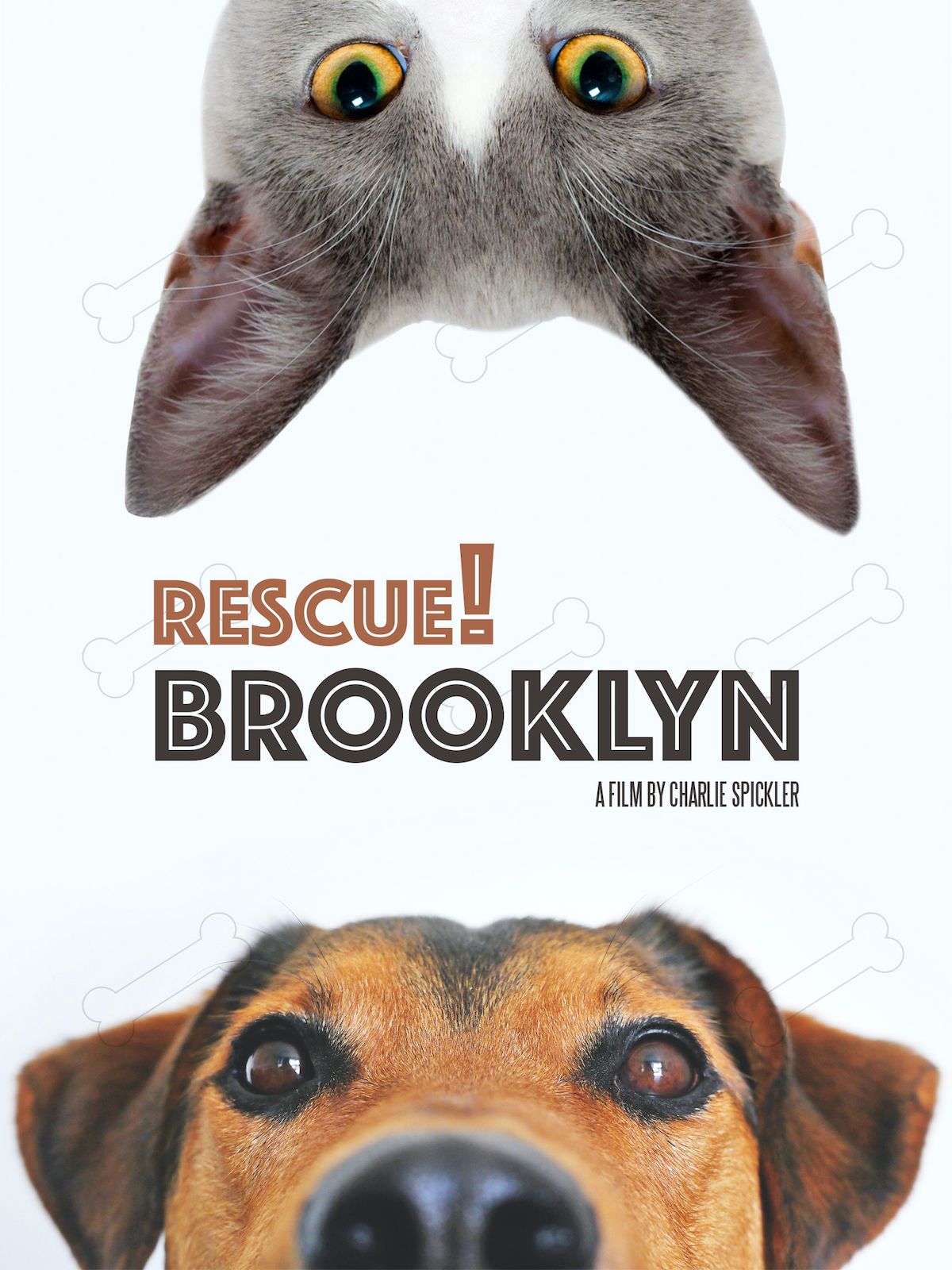 Rescue! Brooklyn