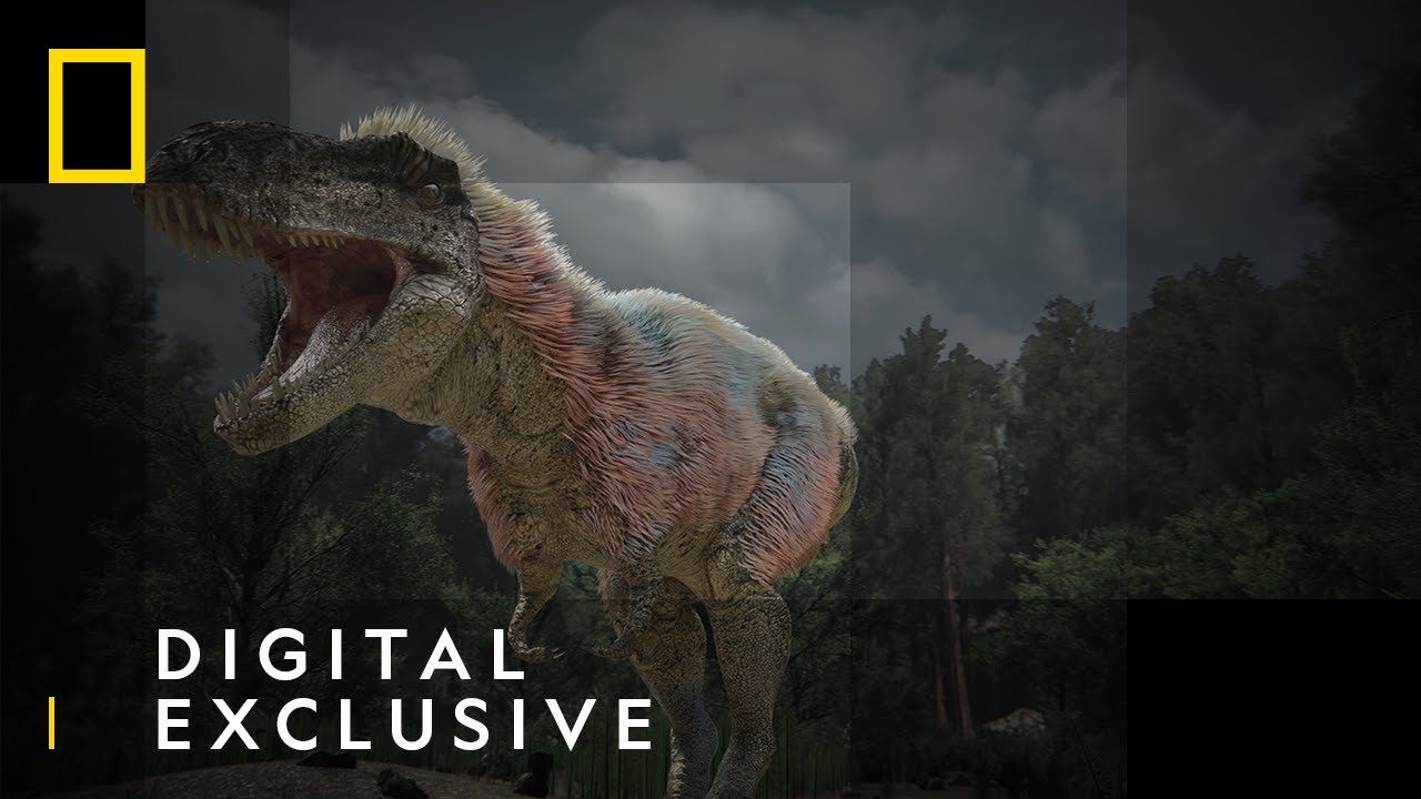 La caza de dinosaurios 70 millones de años después | La caza de dinosaurios en Alaska | National Geographic España