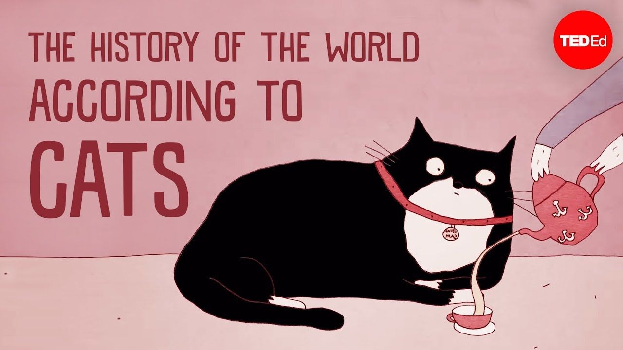 La historia del mundo según los gatos - Eva-Maria Geigl