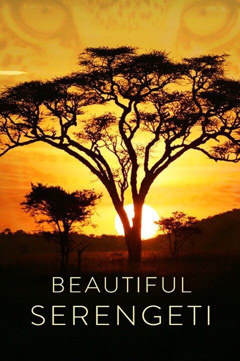 Beautiful Serengeti