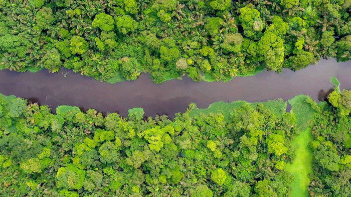Costa Rica : Le réveil de la nature